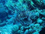 2009-12-05 14-31-18S